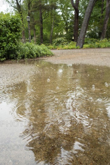 Rain puddle, rainwater, Ostseeallee, Baltic Sea, Baltic seaside resort, Kühlungsborn, Rostock