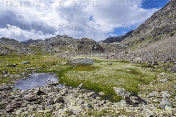 Mountain lakes in a high mountain landscape on the Obere Senner Egete between meadows full of
