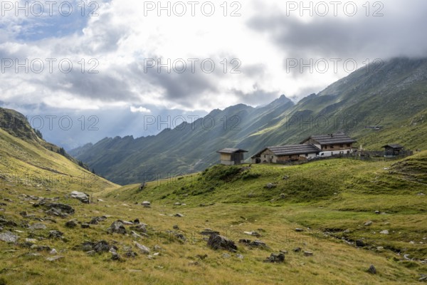 Alpine meadows with Martalm, Lazzacher Tal, Seven Lakes Hike, Stubai Alps, near Ridnaun, South