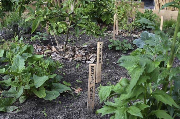 Outdoor exhibition on agriculture and cultivation in front of the Futurium next to the Federal