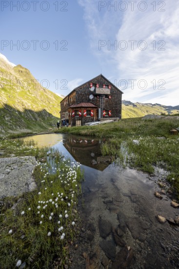 Mountain hut Elberfelderhütte with small lake and cotton grass, in the morning light, in the upper