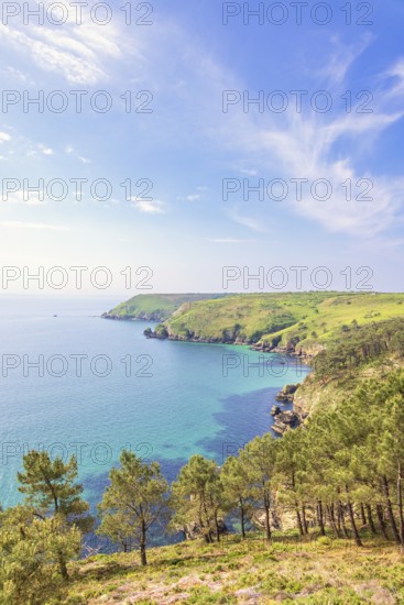 Scenics view at a rocky coastline with pine trees and a sea view to the horizon a sunny summer day
