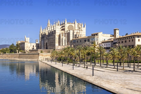 View at the famous Palma Cathedral with reflections in the water a sunny summer day, Palma de