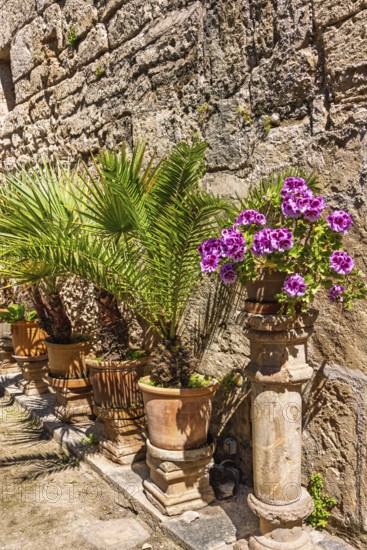 Lush green plants and garden flowers in bloom on pedestals in terracotta pots in a beautiful garden
