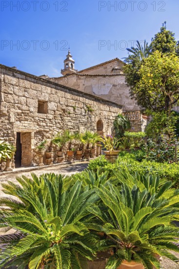 Lush green plants in terracotta pots in a the beautiful Banys Arabs garden a sunny summer day,