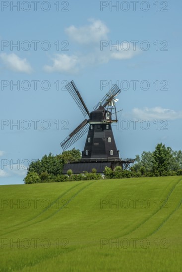 Övraby windmill, Dutch type, built in 1887 and in use until 1974. In Tomelilla municipality, Skåne