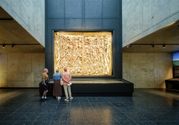 Mass grave with the bones of 47 fallen soldiers, interior photo, Museum Lützen 1632 in memory of