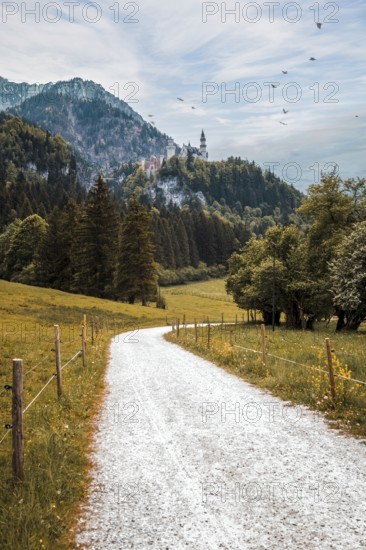 A pebbled path leads through a wooded landscape to Neuschwanstein Castle on a hill, Schwangau,