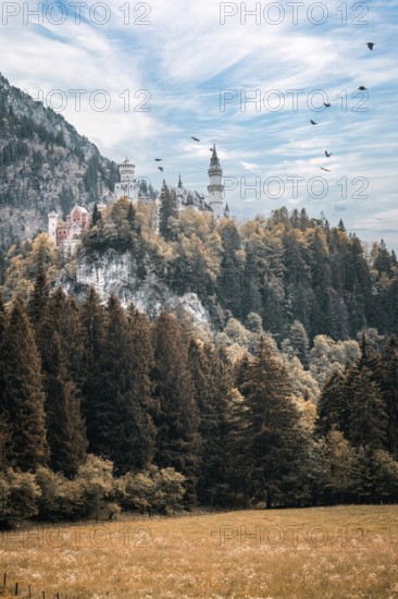 The fairytale Neuschwanstein Castle on a wooded hill, surrounded by flying birds and a clear sky,