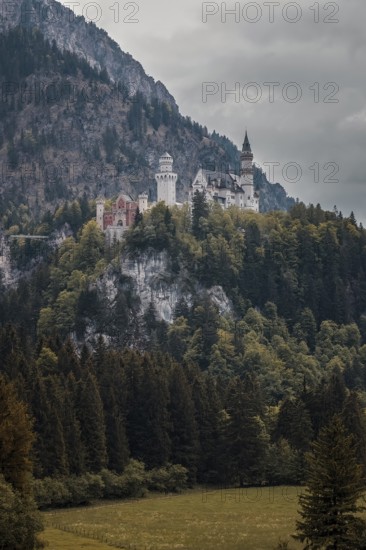 The majestic Neuschwanstein Castle rises above a dense forest on a mountain under a cloudy sky,