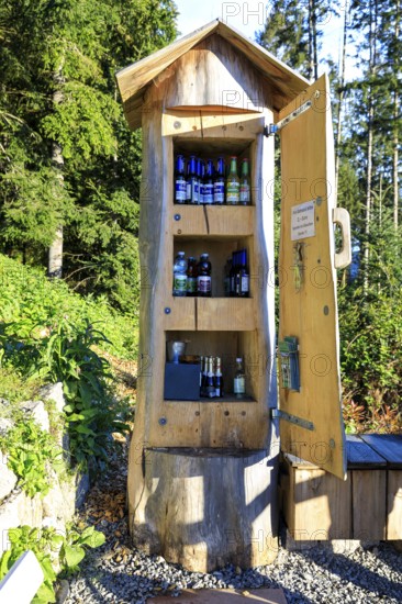 Tree trunk as a cupboard filled with drinks bottles at the Bollenbacher Bierbänkle, Haslach im