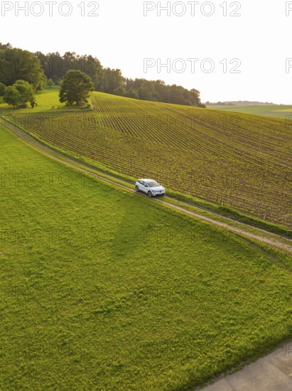 Car driving along a green country road through a quiet, rural landscape, Renault Megane, Deer E