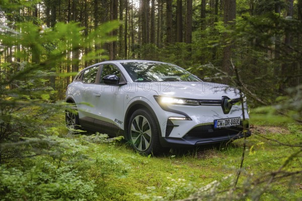 A white car is parked in a green summer forest, surrounded by dense plants, Renault Megane, Deer E