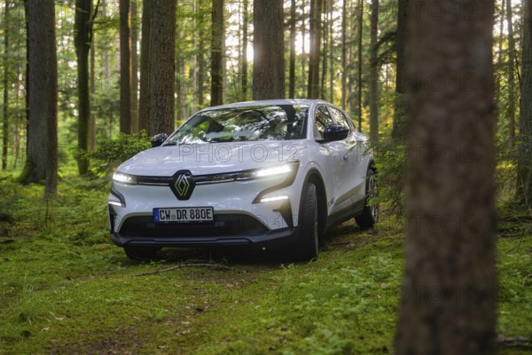 White car in the penetrating sunlight in a lush green forest, Renault Megane, Deer E Carsharing,