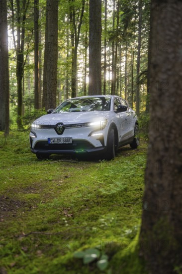White car driving through a light forest with sunbeams between the trees, Renault Megane, Deer E