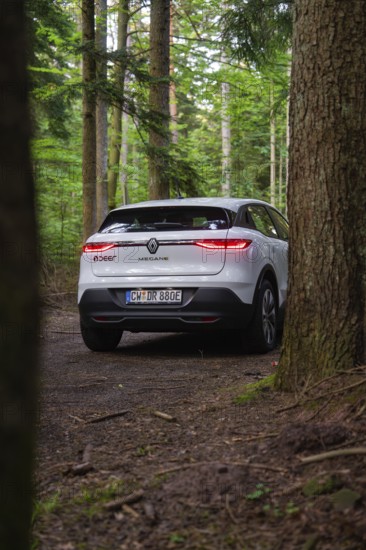 Rear view of a white car between trees in a dense forest on a forest path, Renault Megane, Deer E