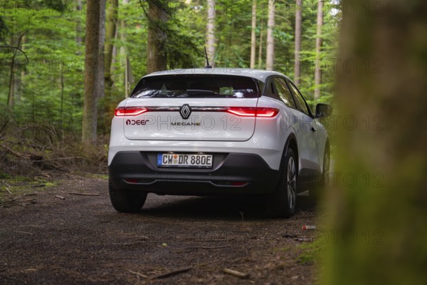 White car from behind on a forest floor surrounded by lush greenery and trees, Renault Megane, Deer