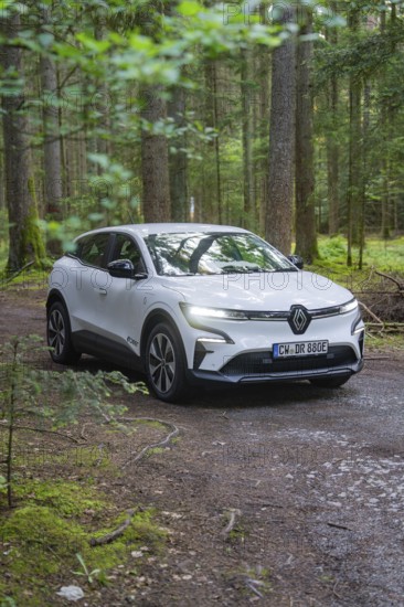 A white car in the forest on a forest path, surrounded by tall trees and natural atmosphere,