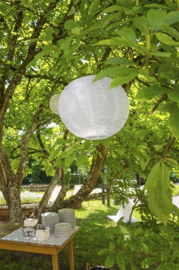 Paper lantern hanging from a tree above a table with crockery in the summer garden, event and