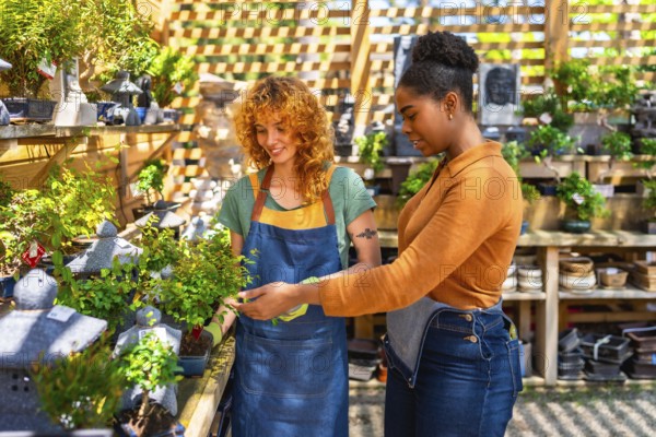 Two women working in a garden center taking care of bonsai plants, one of them is showing a small