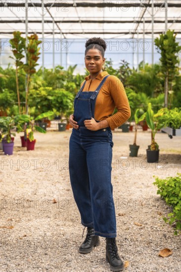 Young african american woman, dressed in denim overalls, posing confidently in a greenhouse,