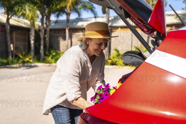 Happy senior woman carefully placing colorful petunias into the trunk of her red car, ready to