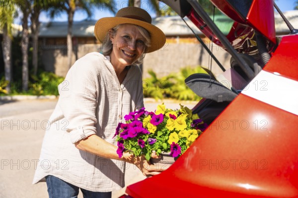 Happy senior woman putting colorful petunia flowers into red car trunk, enjoying gardening on sunny