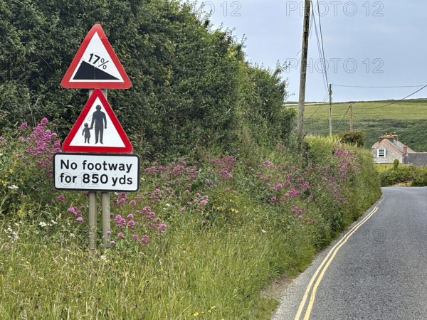Country road with road signs surrounded by green hedge and flowers, Cornwall, England, Great