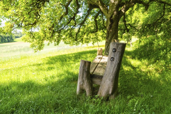 Wooden bench under tree with view of wide green landscape and shade, Gechingen, Black Forest,