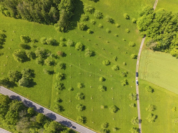 Aerial view of a tree-lined meadow next to a road, orchards, compensation project for the Hermann