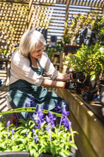 Happy gardener pruning a bonsai tree in a sunlit greenhouse, surrounded by vibrant plants and