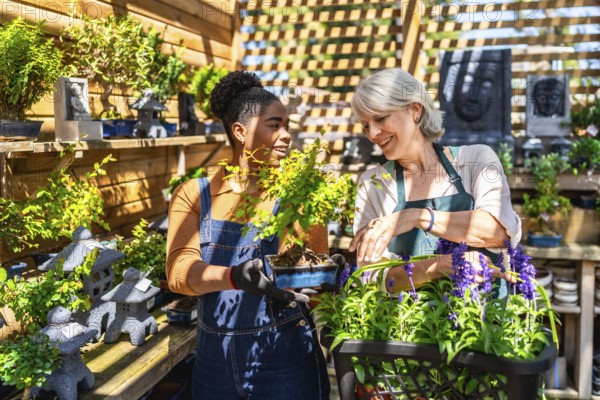 Two female garden center workers taking care of a bonsai tree and other plants in a sunny