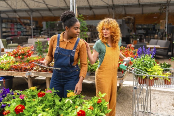 Two women working in a garden center are discussing flowers while using a digital tablet and