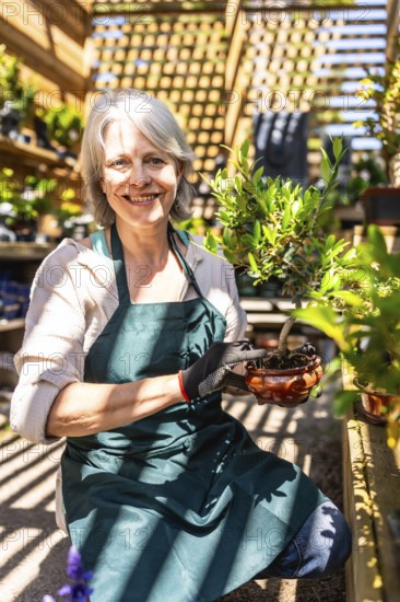 Smiling senior gardener woman wearing gloves and apron holding bonsai plant while working in