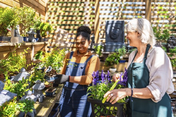 Two happy female garden center workers taking care of bonsai trees and lavender plants in a