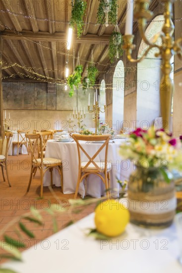 Charming wedding table decoration with fresh flowers and lemon as an accent, event and wedding