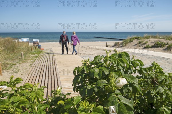 Beach access, beach runner, beach chairs, beach, Baltic Sea, Baltic seaside resort, Kühlungsborn,