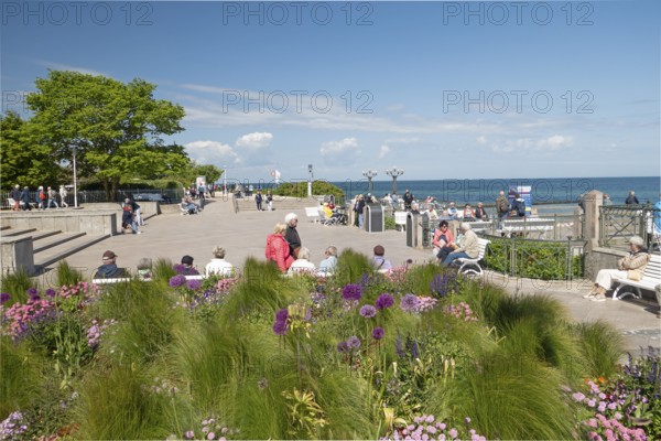 Flowers, pier forecourt, pier, Kühlunsborn Ost, Baltic Sea, Baltic Sea resort, Kühlungsborn,