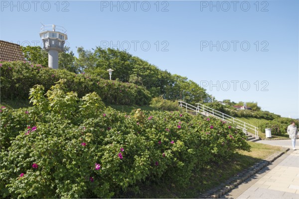 Border observation tower, Ostseeallee, Kühlunsborn Ost, Baltic Sea, Baltic Sea resort,