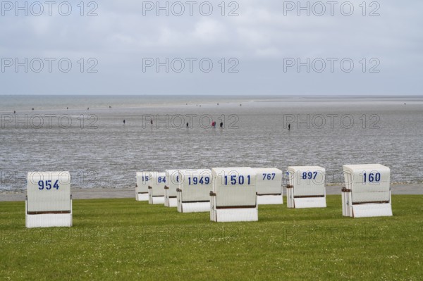 Beach chairs on the green beach, hiker in the mudflats, Büsum, North Sea, Schleswig-Holstein,