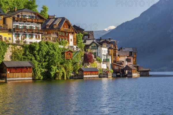 Houses on the steep bank above the lake, Hallstatt, Lake Hallstatt, UNESCO World Heritage Site,