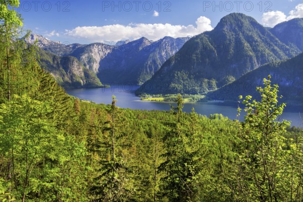 Panoramic view of the lake and the Dachstein foothills, Bad Goisern, Lake Hallstatt, UNESCO World
