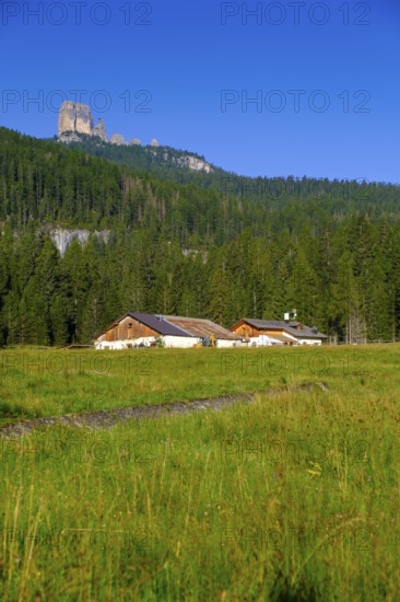Peziè de Parù on the way to Passo Giau, Giau Pass, north side, behind Cinque Torri, Dolomites,