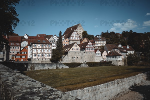 Medieval half-timbered houses and a castle under a blue sky next to a green meadow and trees in the