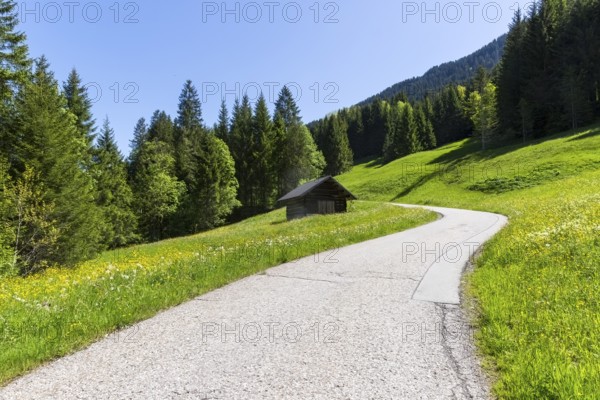 Narrow road that leads along a meadow and wooden hut through a forest
