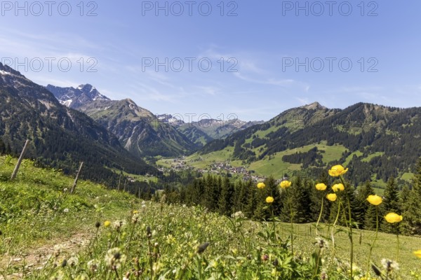 View down the valley to the village of Mittelberg with yellow flowers and mountain peaks in