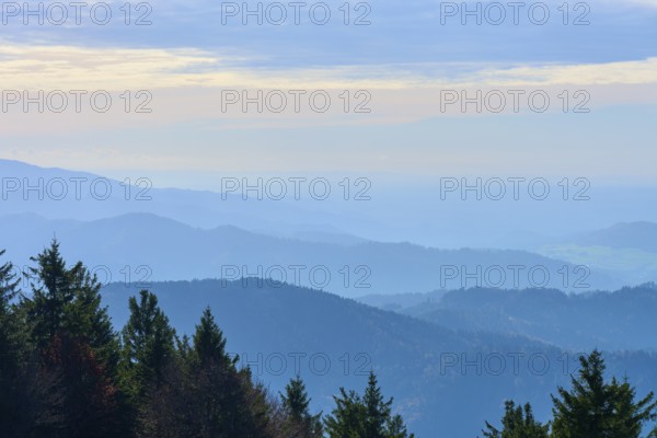 Wide mountain landscape with forest in the foreground and hazy horizon, Kandel, Waldkirch, Black