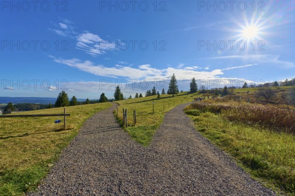Kandel Höhenweg, fork in the road that splits, under a bright sun in a rural landscape, Kandel,