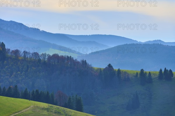 Mountain ranges and forests rise gently, Schauinsland, Freiburg im Breisgau, Black Forest,