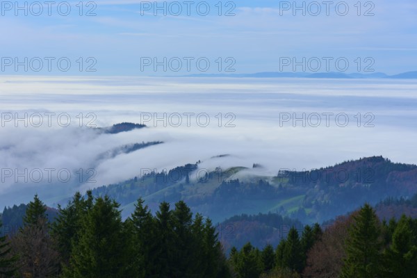Forests and hills rise through dense fog under a clear sky, Schauinsland, Freiburg im Breisgau,